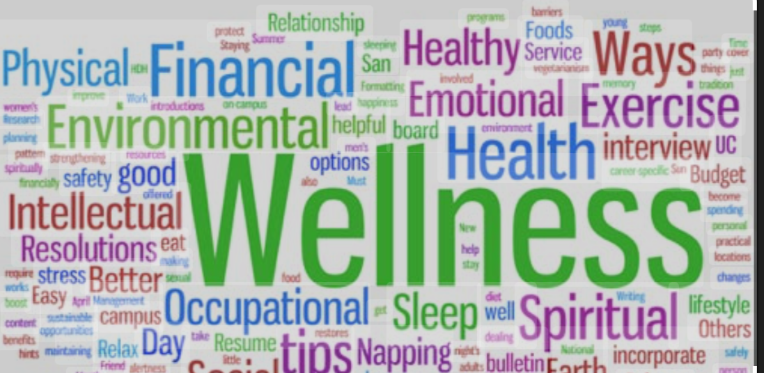  Best Wellness Coaching Certification Programs - 2025 
